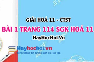 Giải bài 1 trang 114 Hoá 11 SGK Chân trời sáng tạo